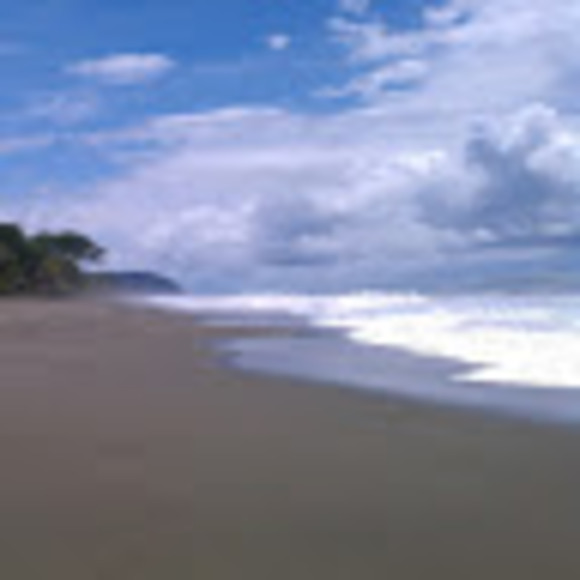 Meet your Posher, Ali - Picture 1 of 1